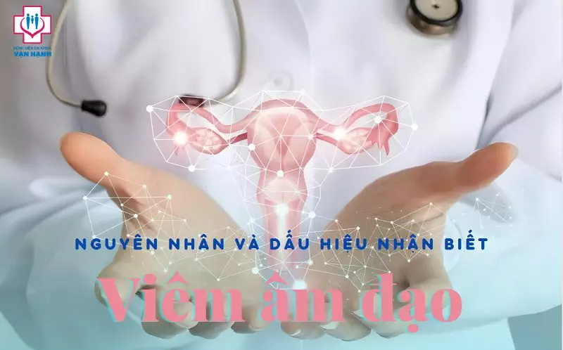 5 Dấu hiệu viêm âm đạo thường gặp: Từ trẻ em gái đến phụ nữ trưởng thành